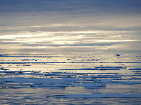 Landscape portrait of sea ice floating - Kieran Mulvaney