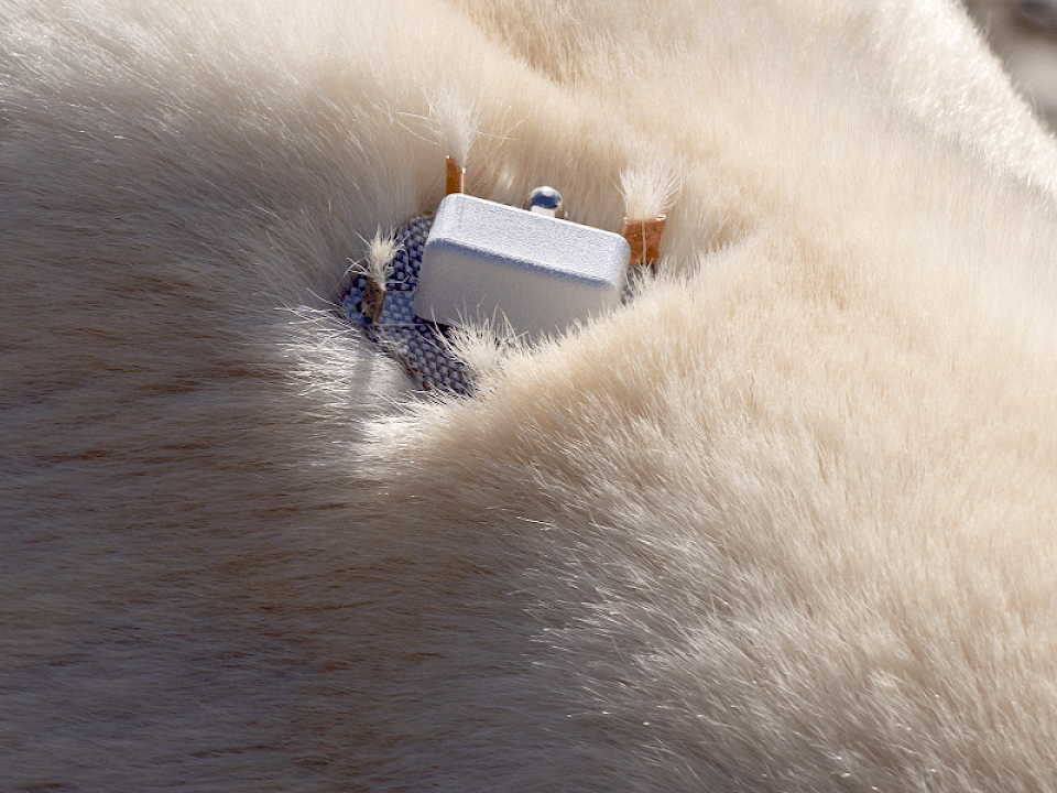 Burr-on-fur