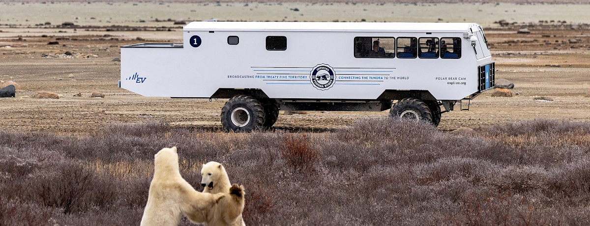 2 males sparring in front of EV Tundra Buggy One