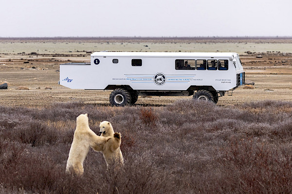 2 males sparring in front of EV Tundra Buggy One