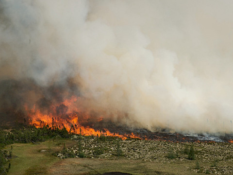 A wildfire burns through the tundra and boreal forest south of Churchill, Manitoba, an area known for polar bear denning sites.